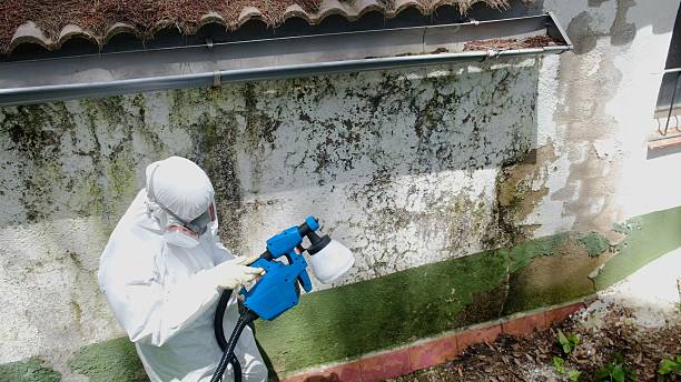 Trusted Bathroom Mold Removal service in Loganton, PA - Cheap Mold Removal